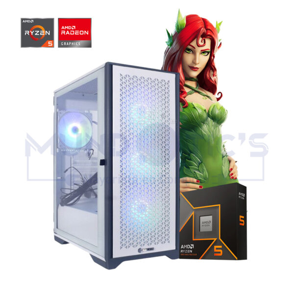 PC RYZEN 5 9600X + RX 9060XT 16GB + 16GB RAM + 500GB SSD M.2 + CASE SNAKE